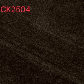 CK2504